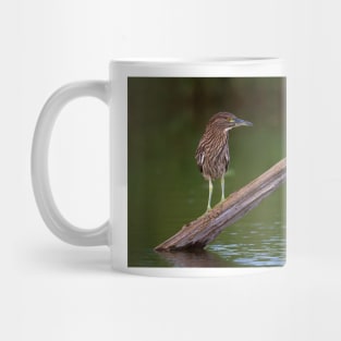 Juvenile Night Heron Mug